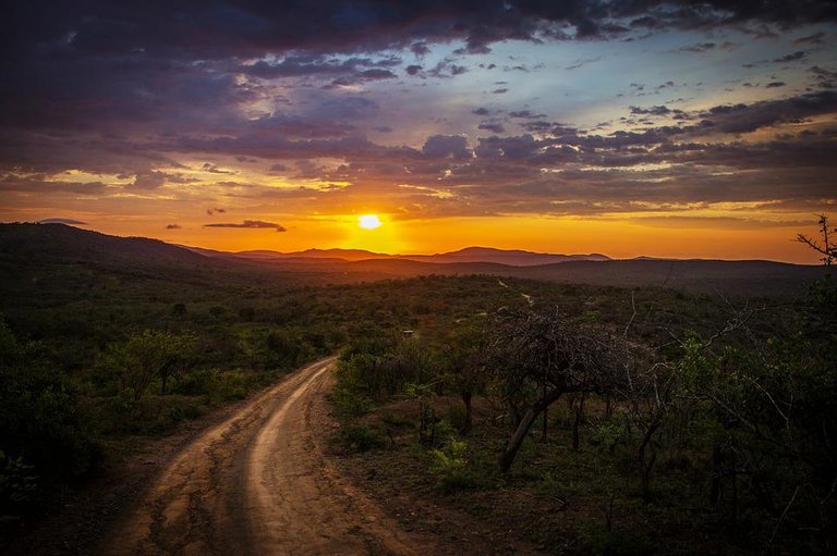 dirt-road-1845933_960_720.jpg