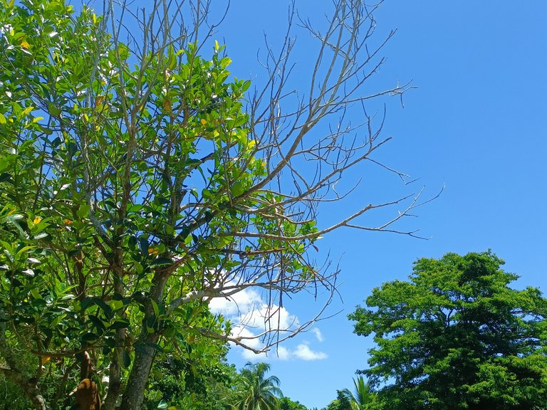 IMG20250512112854.jpg