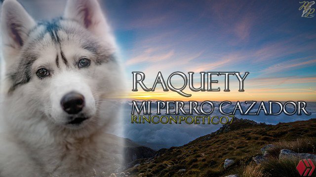 portada Raquety  mi perro cazador.jpg