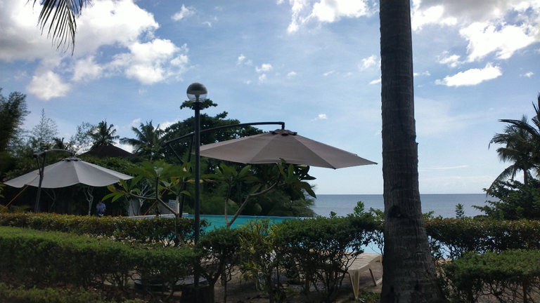 IMG_20250512_113113.png