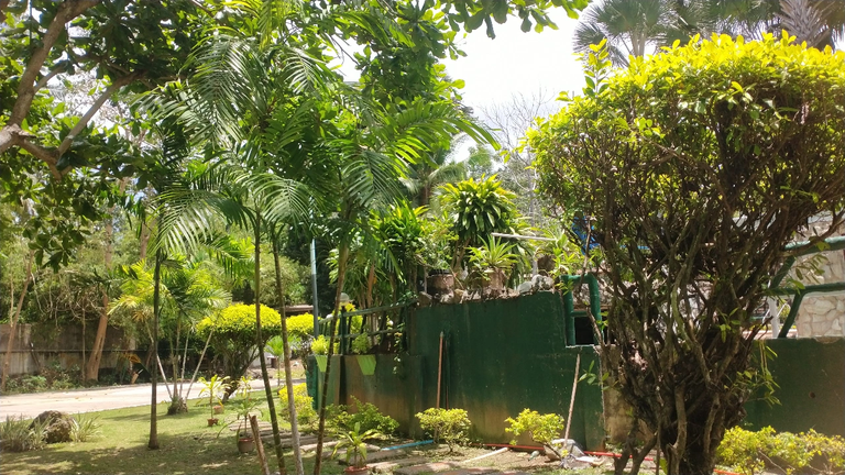 IMG_20250512_113050.png