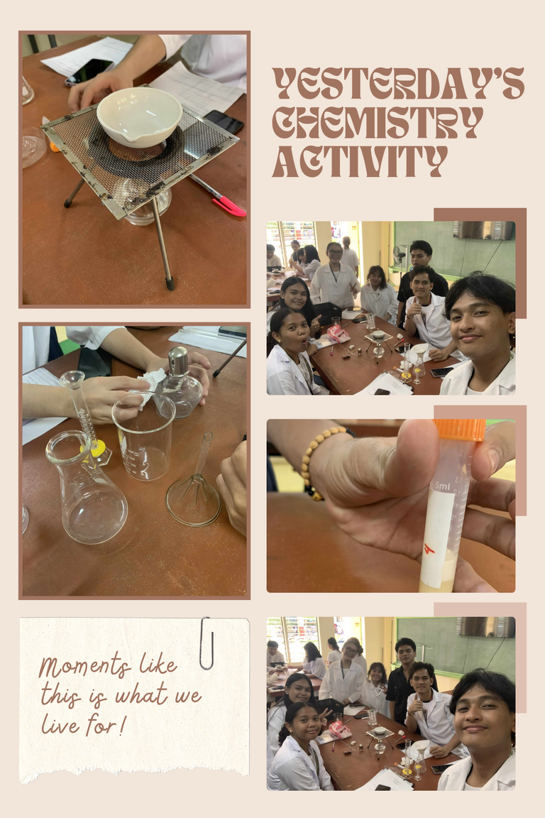 SCHOOL PROJECTS: Yesterday's Chemistry Laboratory Activity