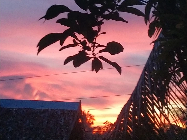 IMG_20250512_115615.png