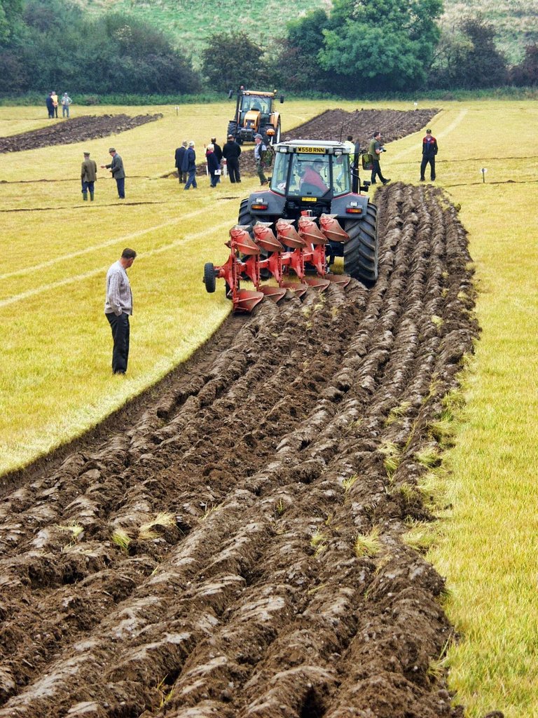 farming-2365322_1920.jpg