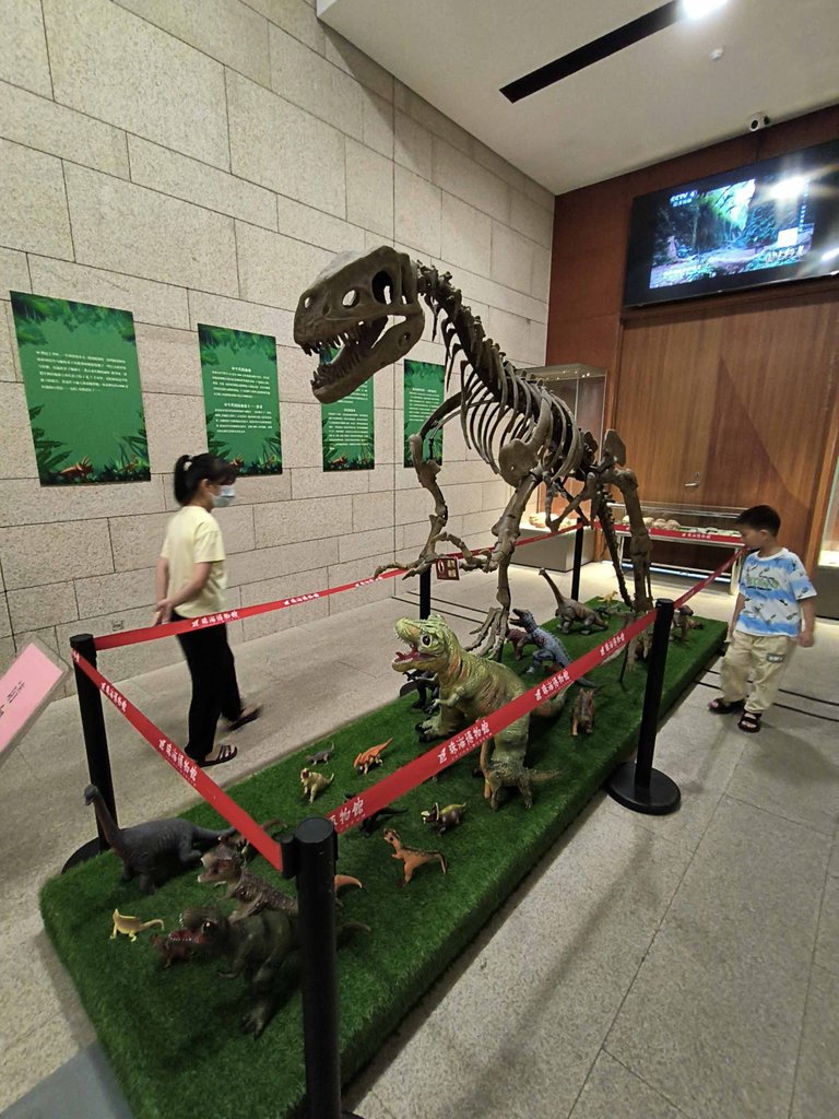 IMG20230720144556.jpg