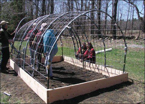 Cattle-panel-hoop-house1.jpg