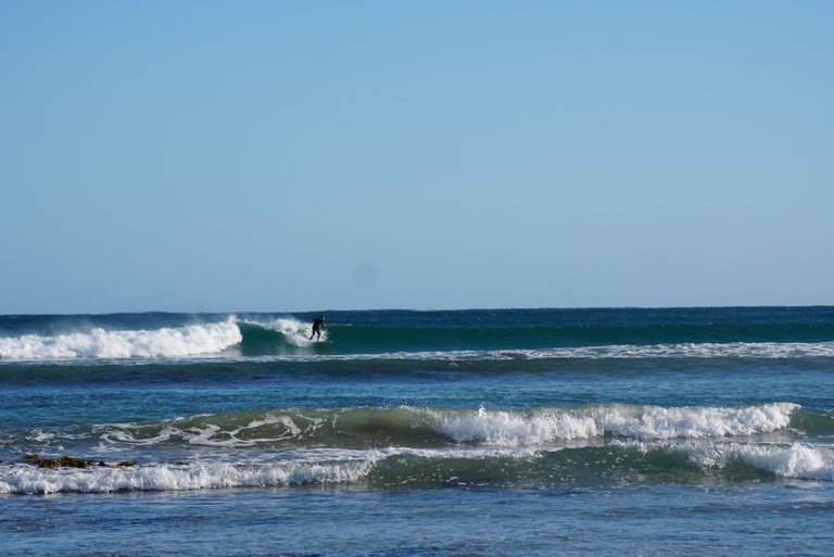DSC08188_1.JPG