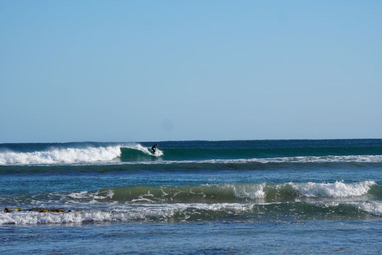 DSC08187_1.JPG