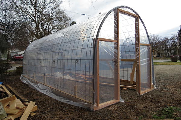 Greenhouse-2_credit-Nick-Thomas.png