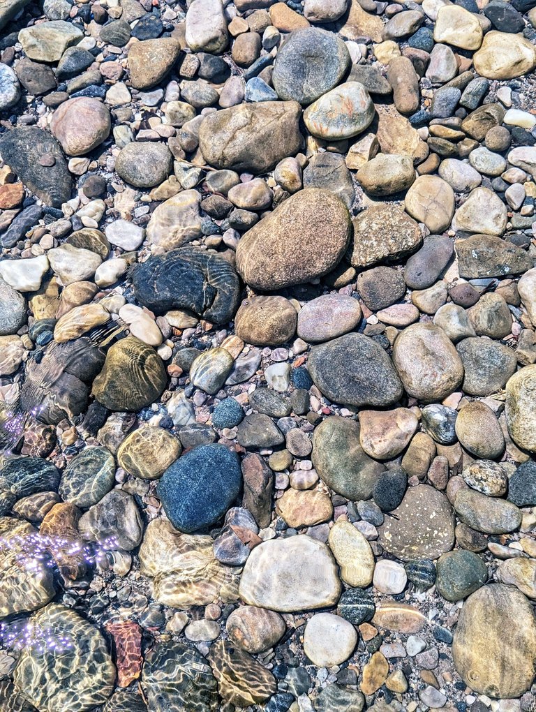 PXL_20230906_063212811.jpg