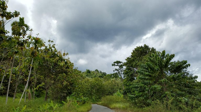 Traveling Aceh Barat (6).jpg