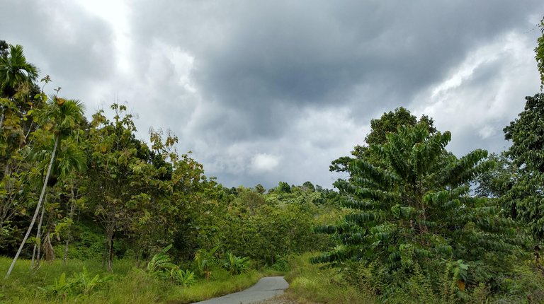 Traveling Aceh Barat (5).jpg