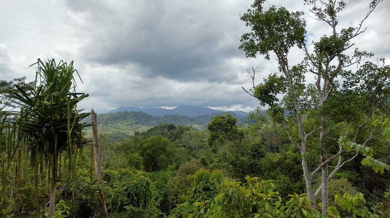 Traveling Aceh Barat (7).jpg