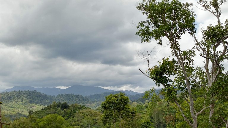 Traveling Aceh Barat (8).jpg