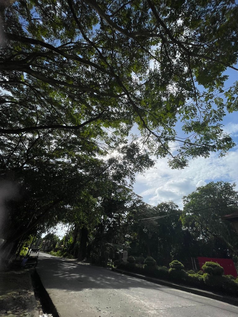IMG_4297.jpeg