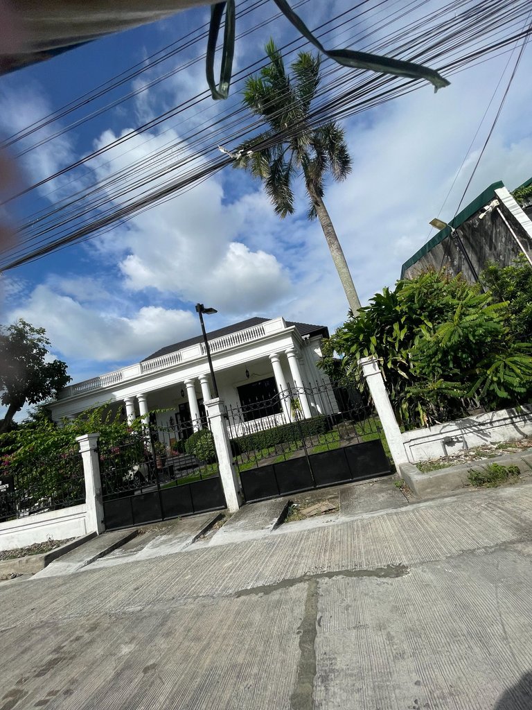 IMG_4317.jpeg