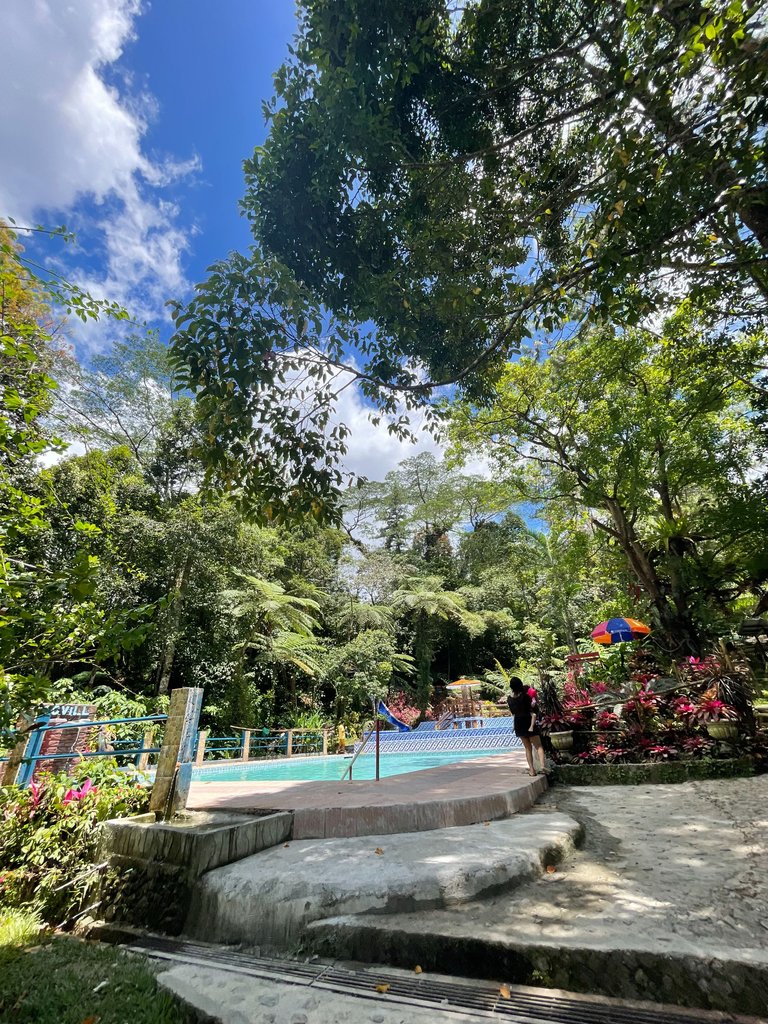 IMG_2286 2.jpeg