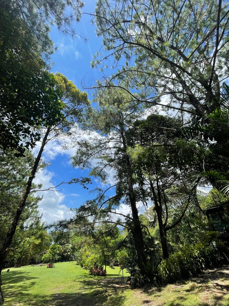 IMG_2279 2.jpeg