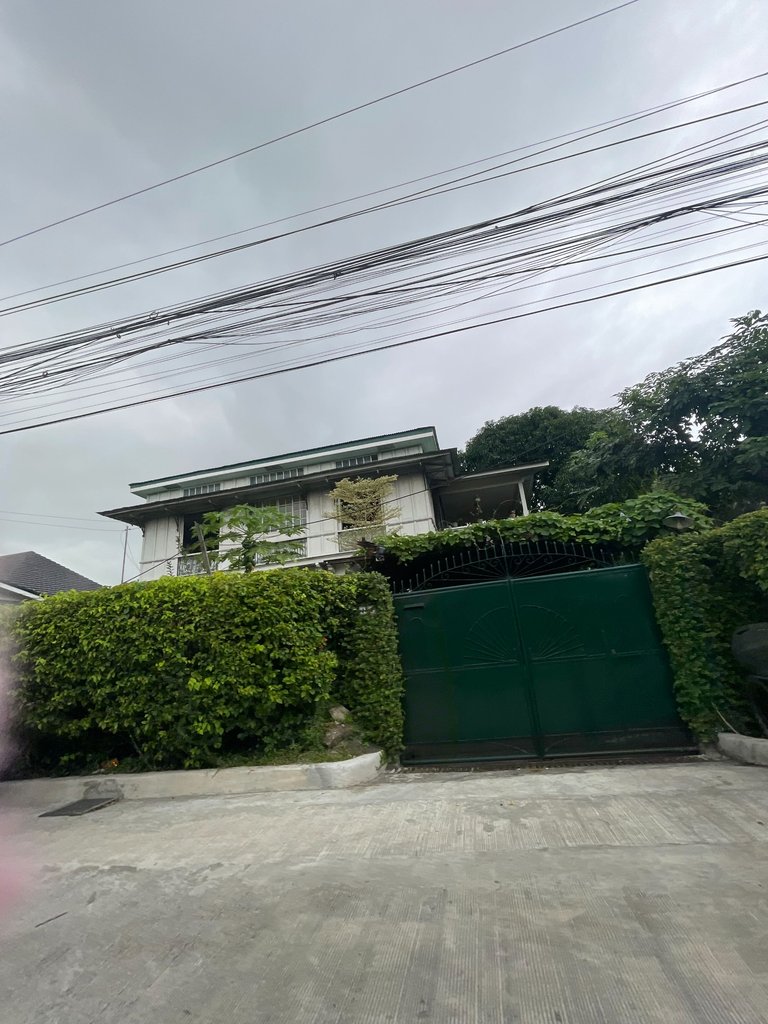 IMG_4394.jpeg