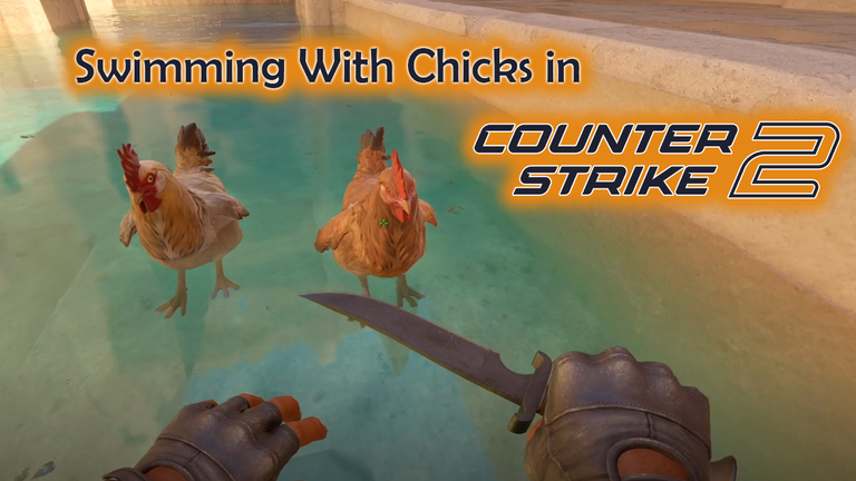 chick cs2.png