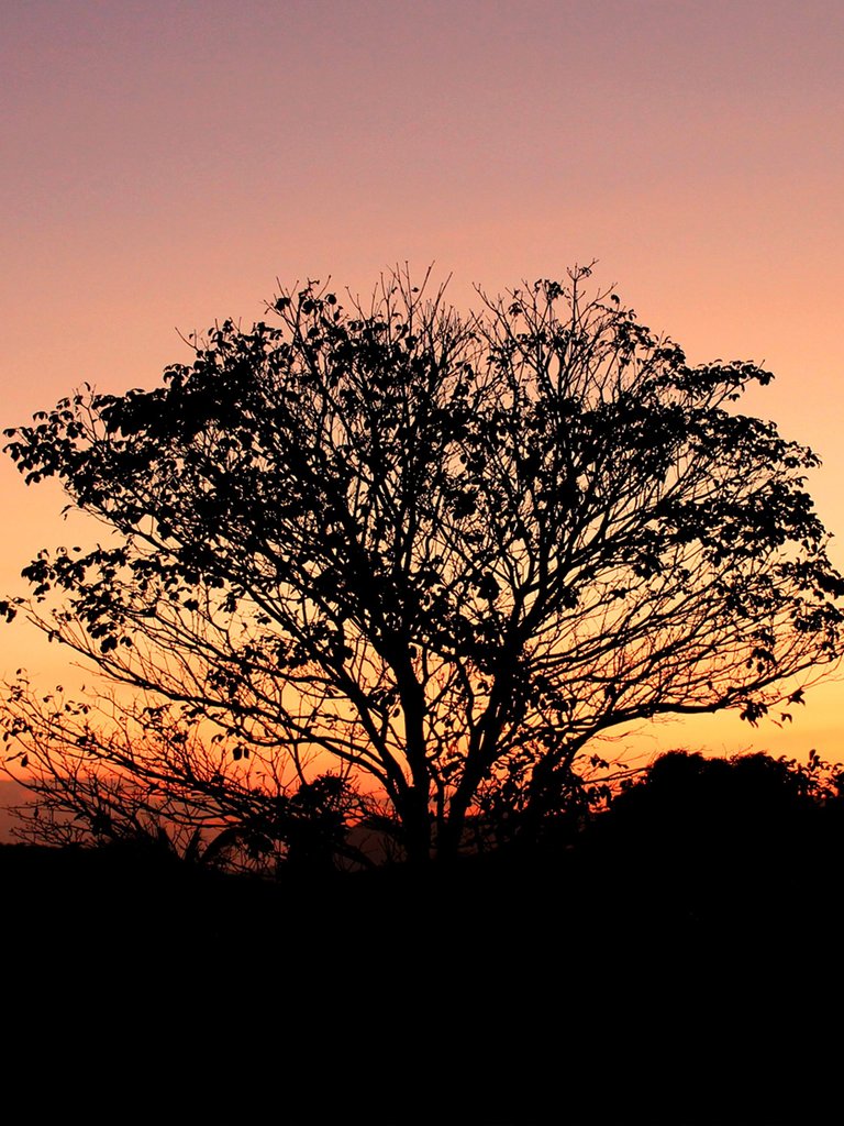 Atardecer Barquisimeto.jpg