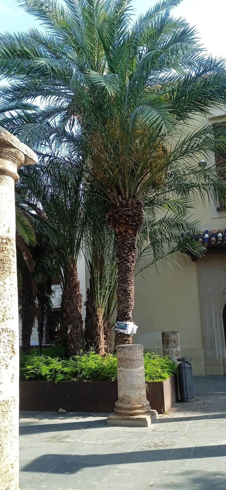 IMG_20250620_092954_1[1].jpg