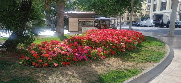 IMG_20250523_085646_1[1].jpg