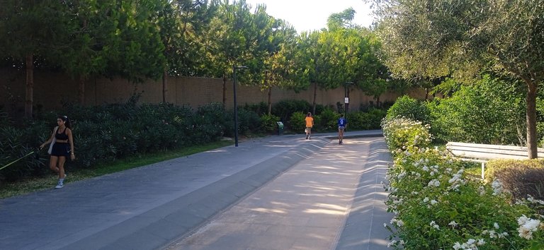 IMG_20250711_183333[1].jpg