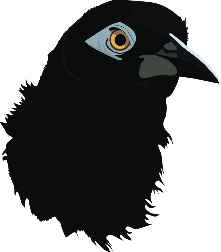 turpial3.png