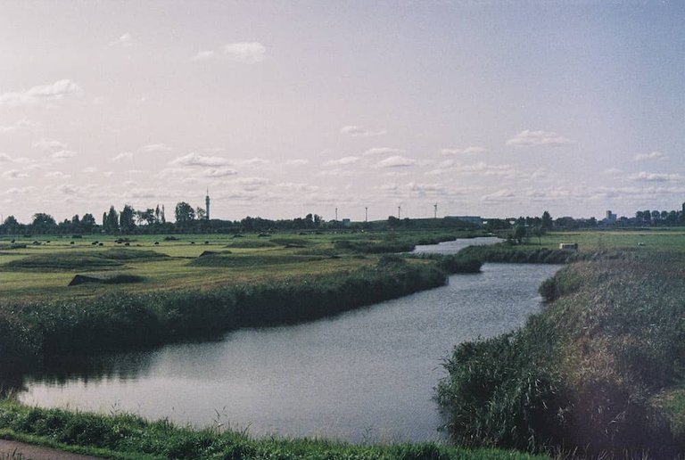 Dutch lowlands shot, with US forest fire sky (for real)