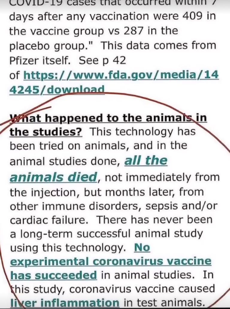 pfizer animals re.png