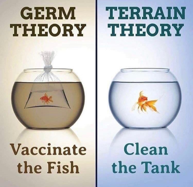 germ vs terrain.jpeg