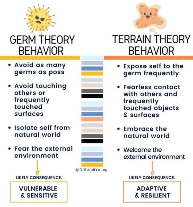 germ vs terrain 2.jpeg