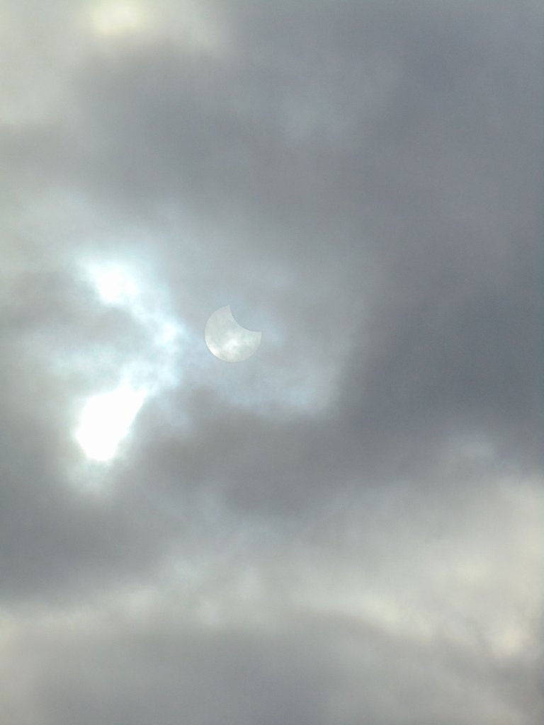 DSC00175.JPG