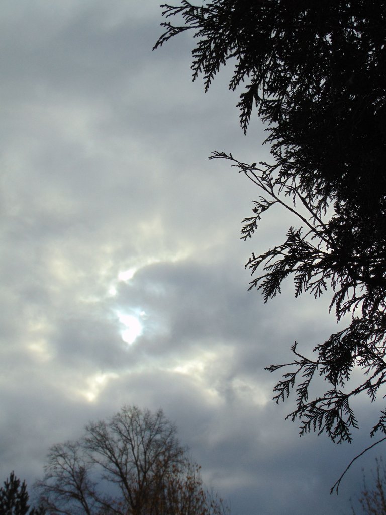 DSC00178.JPG