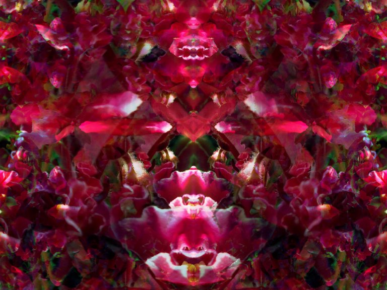 DSCN0562ddddf.JPG
