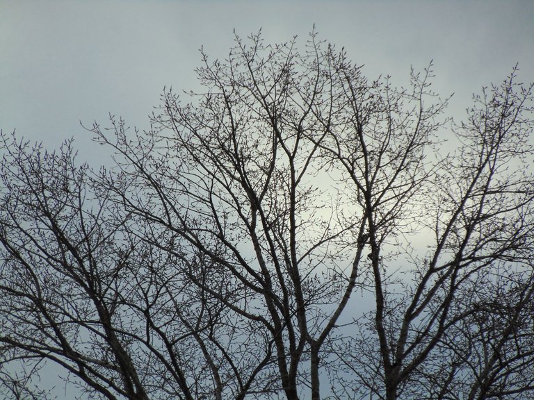DSC00349.JPG