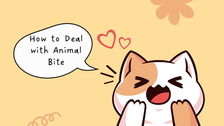 How to Deal with Animal Bite.png