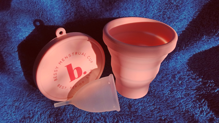 Menstrual Cup (1).png