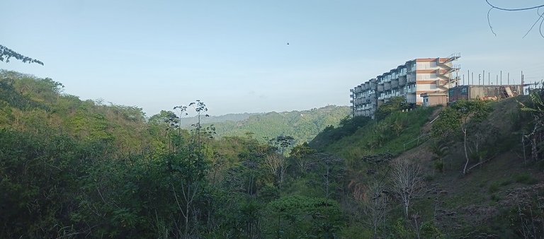 IMG_20250522_174038_698.jpg