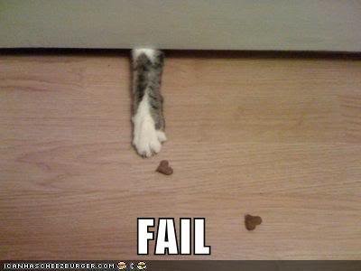 CatFail.jpg