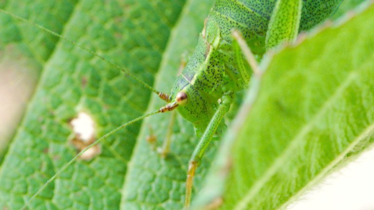20151002181334.jpg