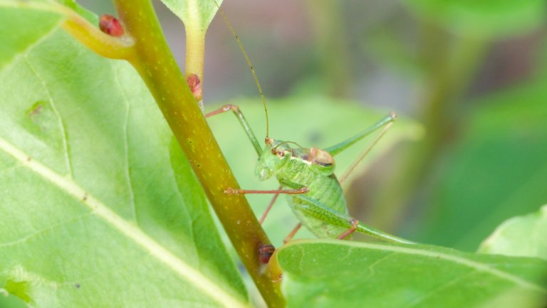 20151003141629.jpg