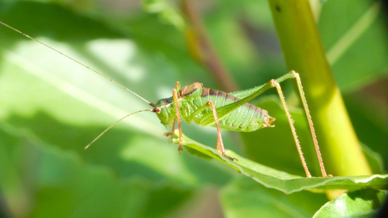 20151003142506.jpg