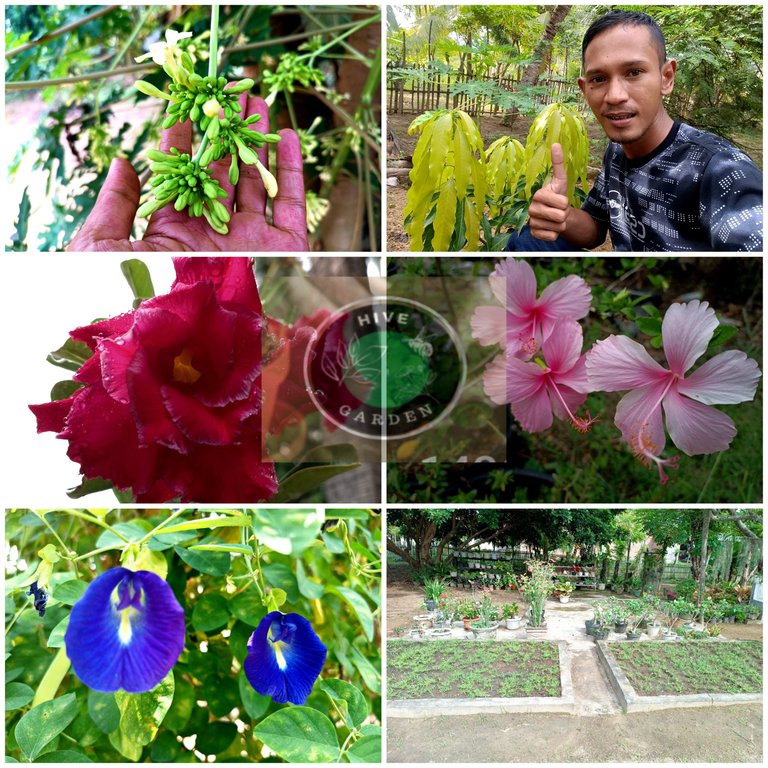 Picsart_22-10-19_00-50-08-877.jpg