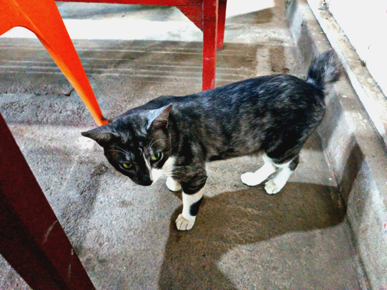 Picsart_22-10-06_20-05-01-503.jpg