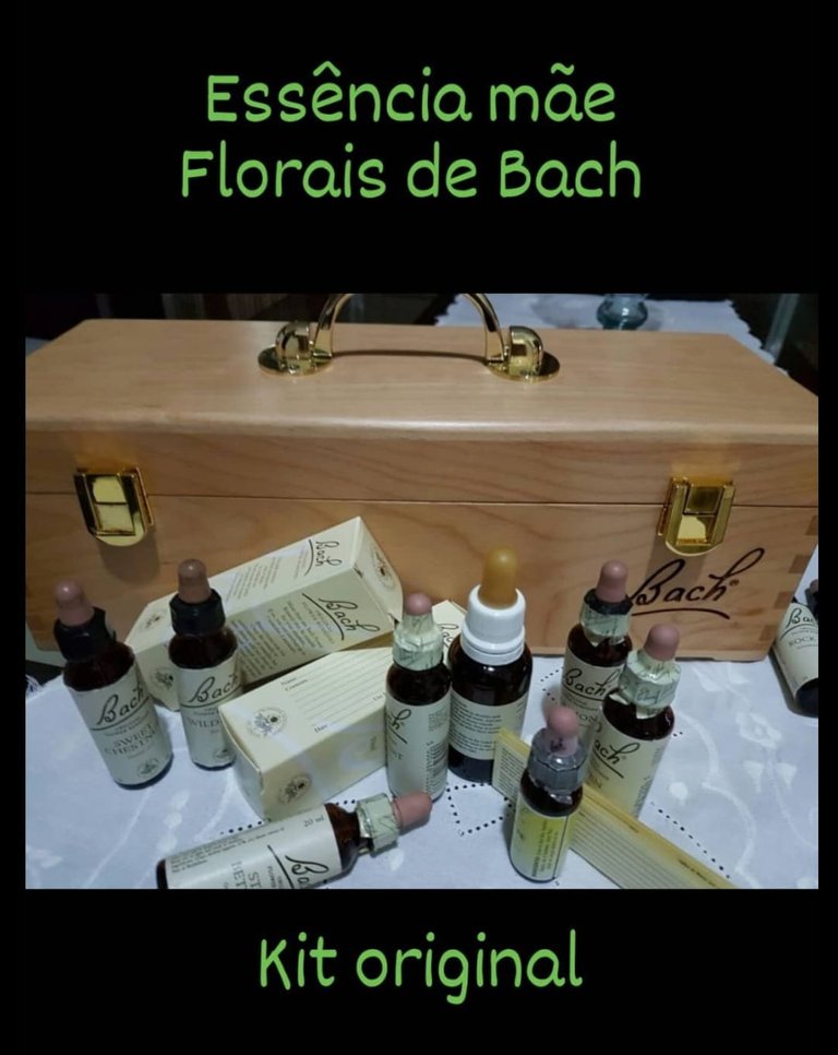 Florais de bach.jpg