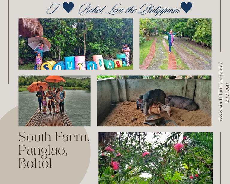 www.southfarmpanglaobohol.com.png