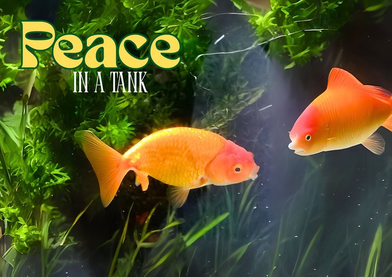 The Day We Met a Big-Eyed Fish, a Tiny Lobster, and Found Unexpected Joy at Our Friend’s House