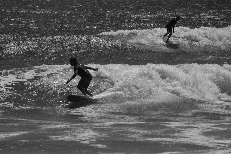 DSC04616.jpeg